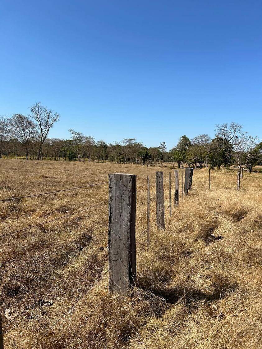 Fazenda à venda, 30m² - Foto 47