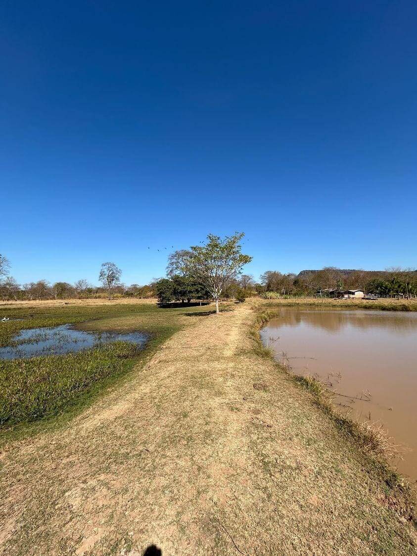 Fazenda à venda, 30m² - Foto 48