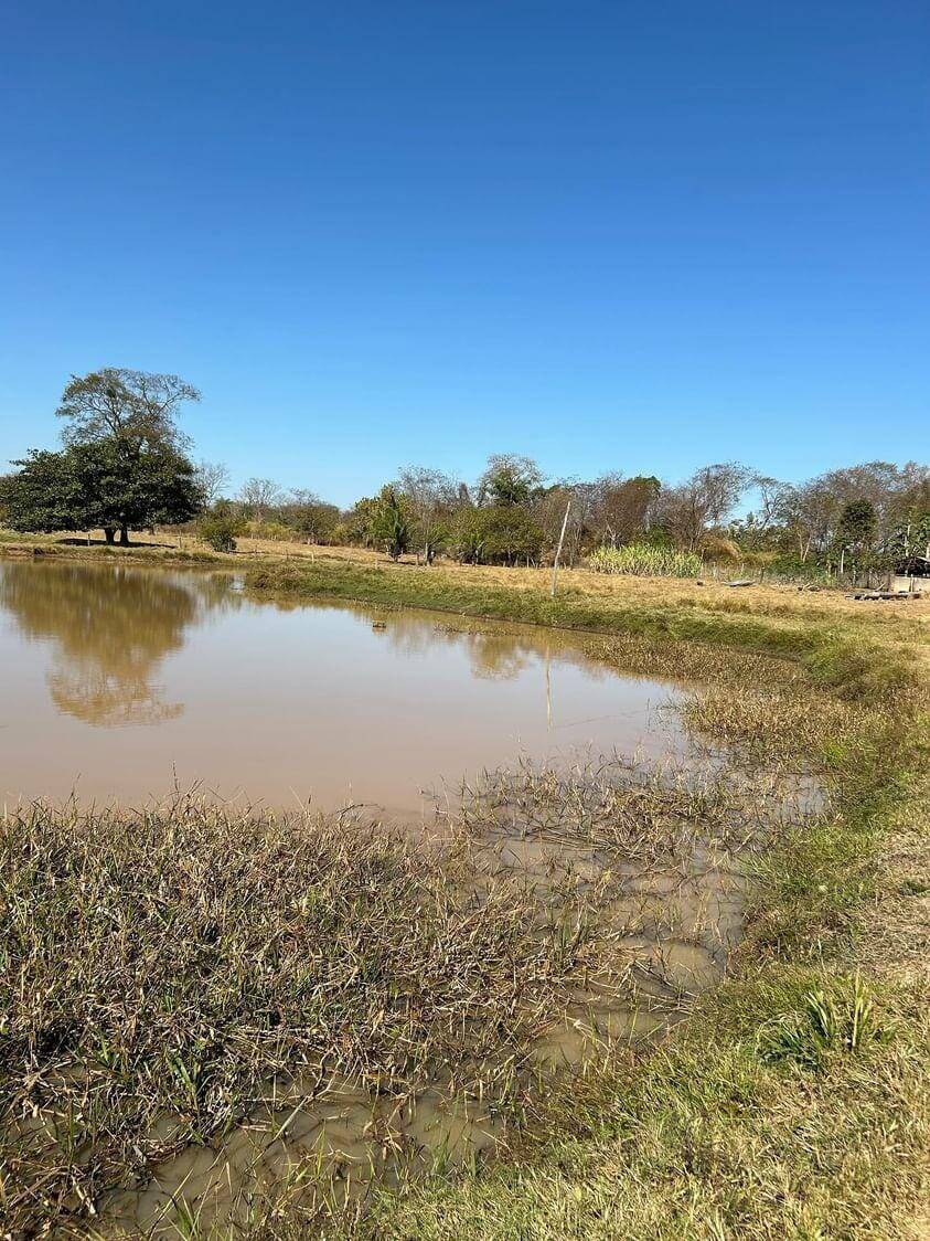 Fazenda à venda, 30m² - Foto 50