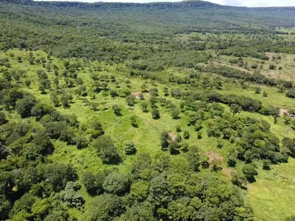 Fazenda à venda, 30m² - Foto 7