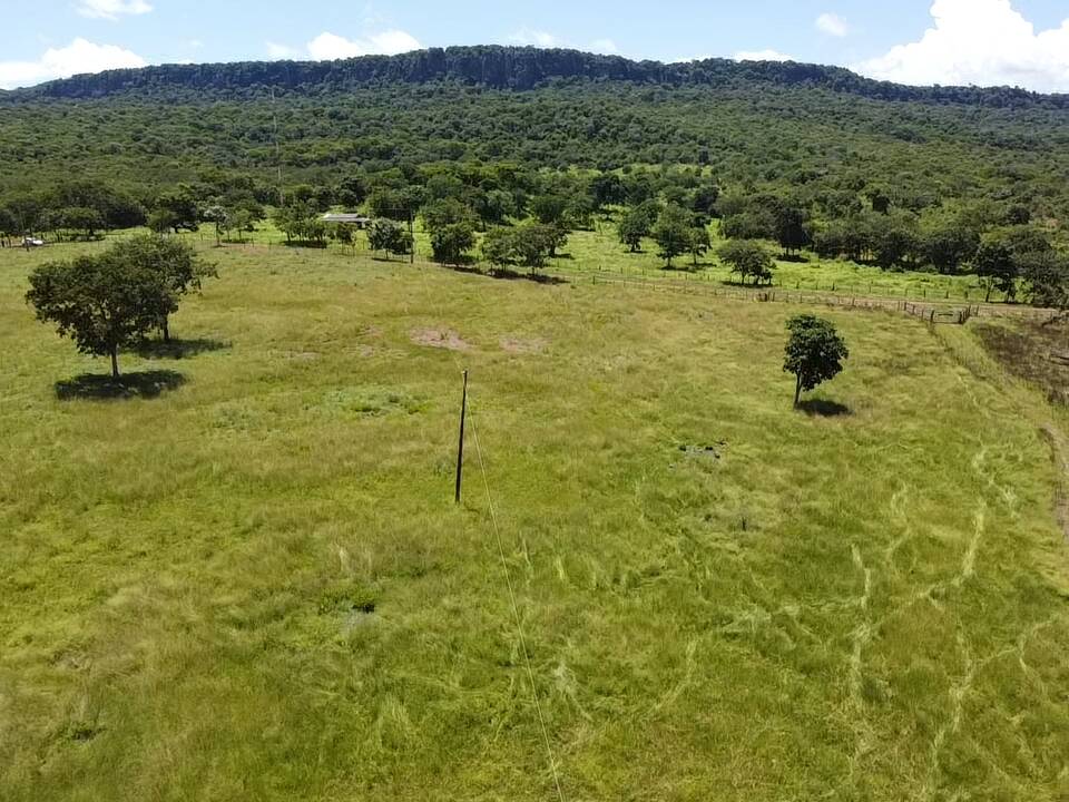 Fazenda à venda, 30m² - Foto 14