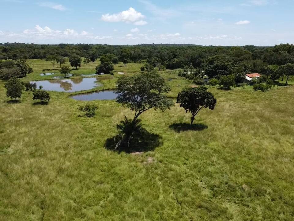 Fazenda à venda, 30m² - Foto 17