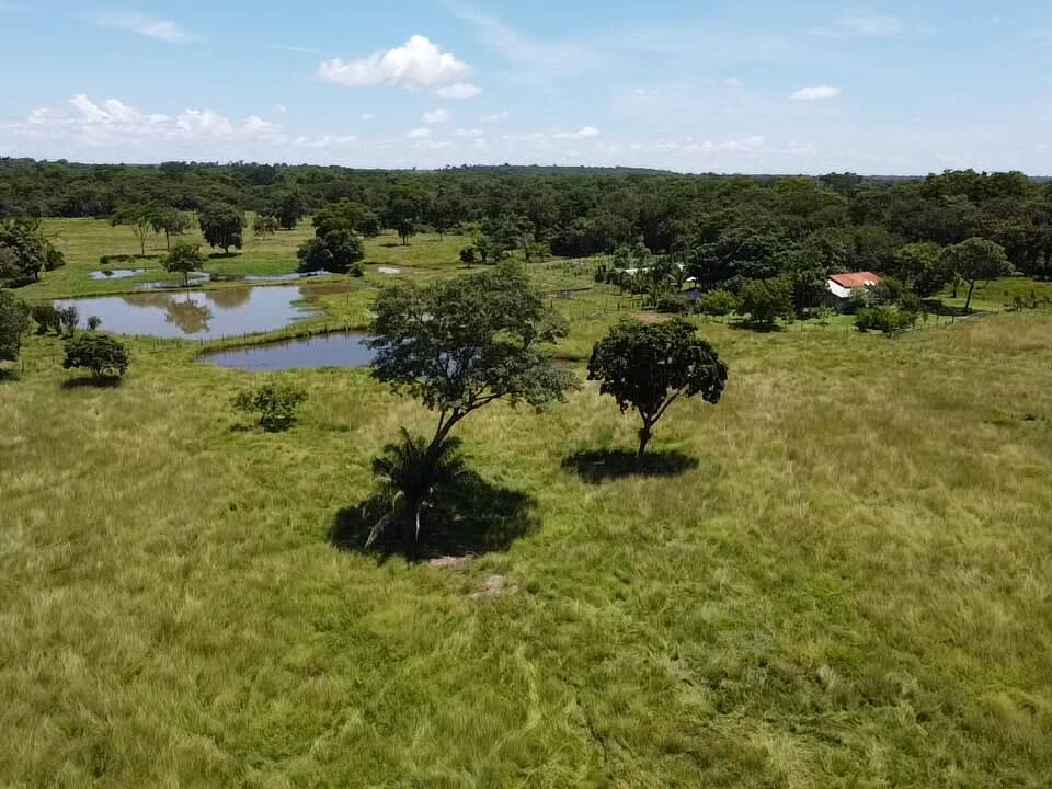 Fazenda à venda, 30m² - Foto 19