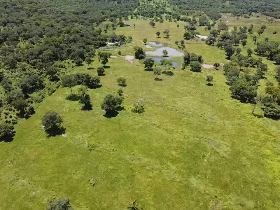 Fazenda à venda, 30m² - Foto 34