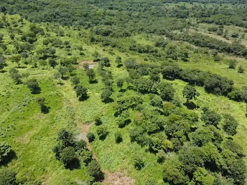 Fazenda à venda, 30m² - Foto 37