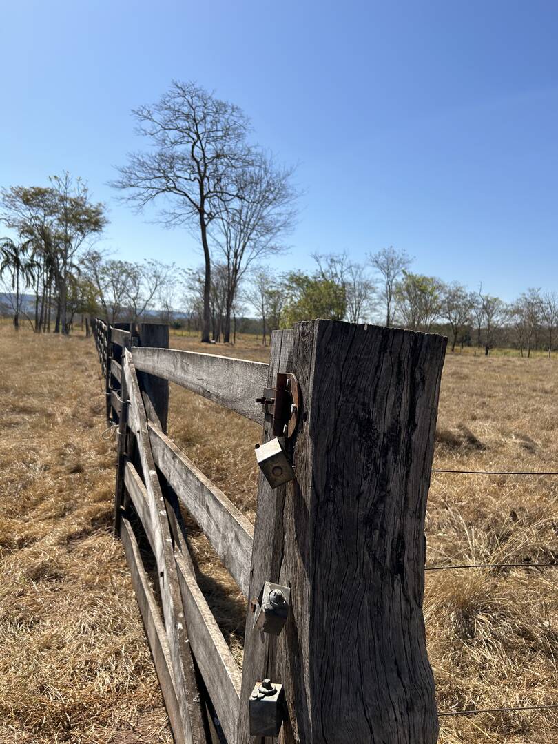 Fazenda à venda, 30m² - Foto 61