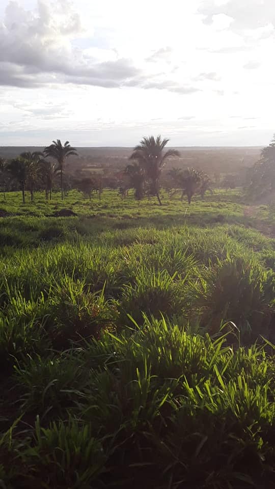 Fazenda à venda com 2 quartos, 12m² - Foto 4