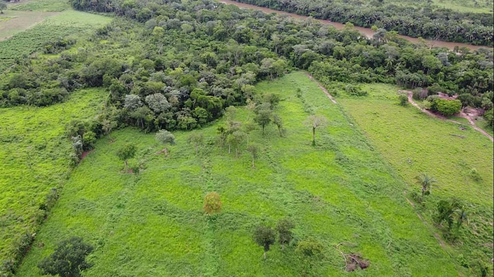 Fazenda à venda com 2 quartos, 12m² - Foto 7