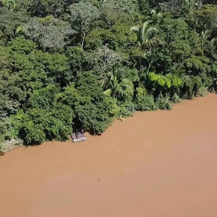 Fazenda à venda com 2 quartos, 12m² - Foto 9