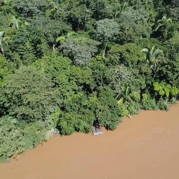 Fazenda à venda com 2 quartos, 12m² - Foto 8