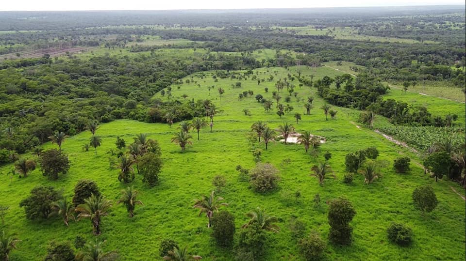 Fazenda à venda com 2 quartos, 12m² - Foto 6