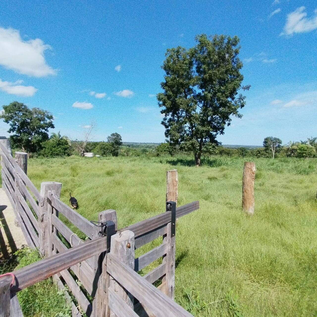 Fazenda à venda com 2 quartos, 12m² - Foto 10