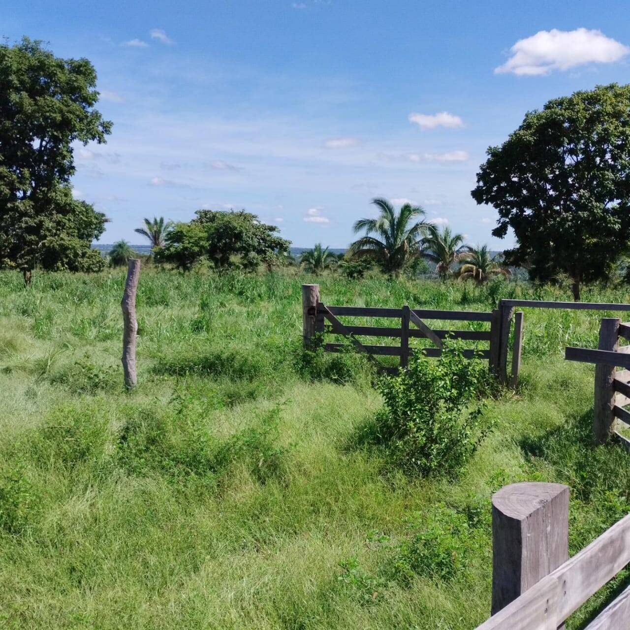 Fazenda à venda com 2 quartos, 12m² - Foto 14