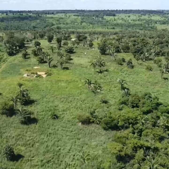 Fazenda à venda com 2 quartos, 12m² - Foto 15