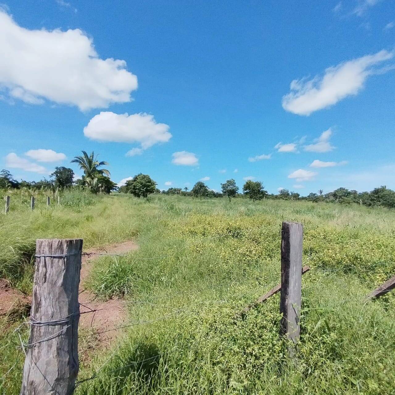 Fazenda à venda com 2 quartos, 12m² - Foto 16