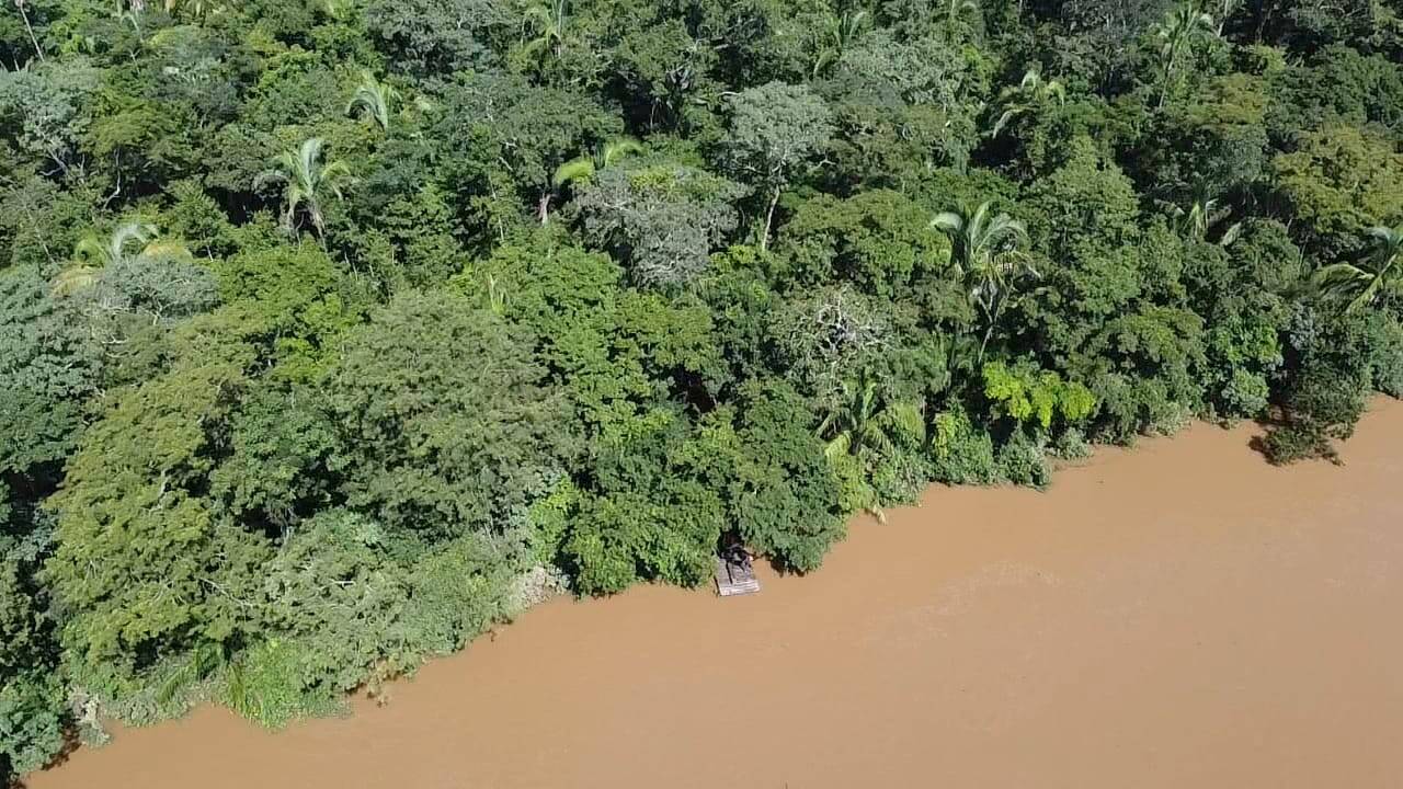 Fazenda à venda com 2 quartos, 12m² - Foto 21