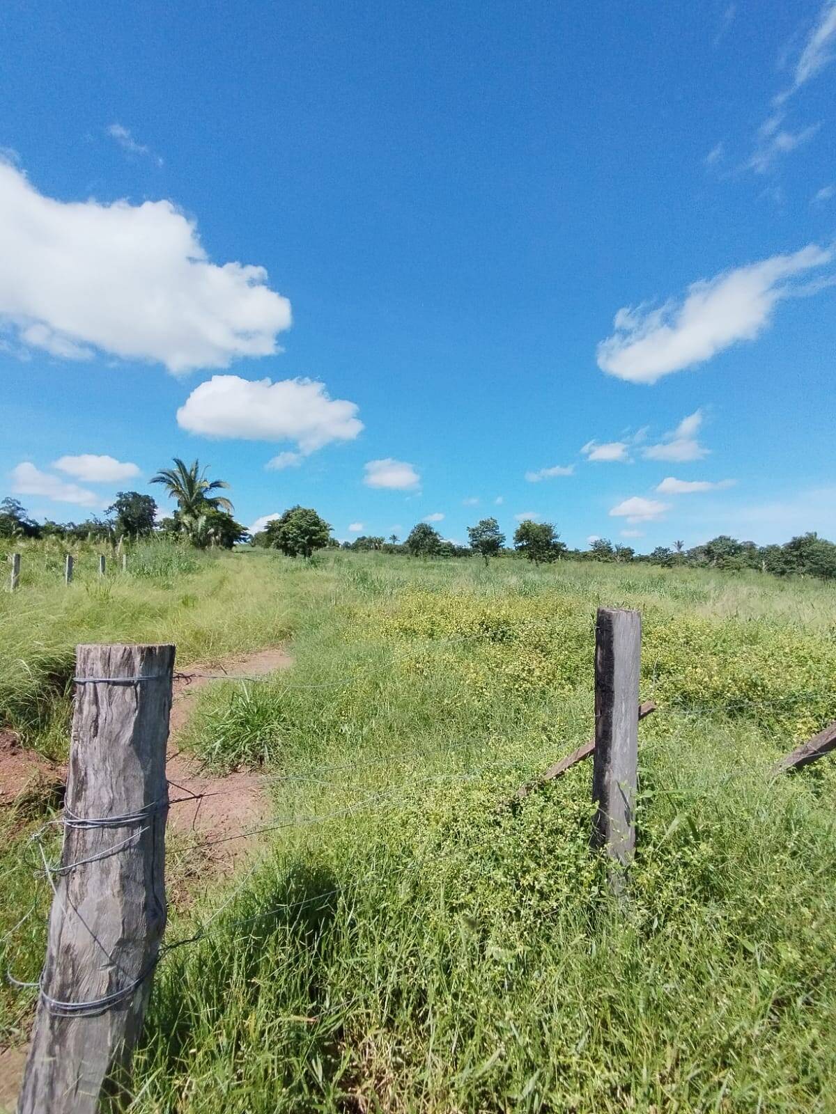 Fazenda à venda com 2 quartos, 12m² - Foto 23