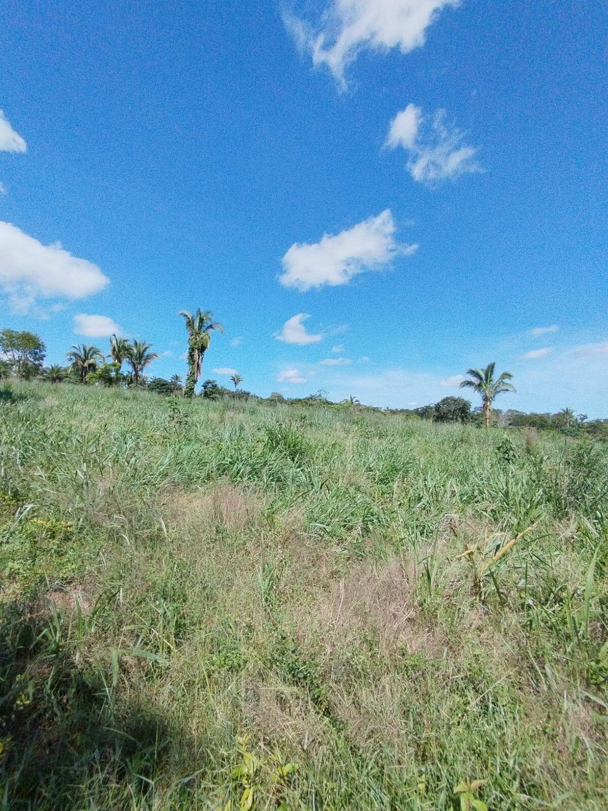 Fazenda à venda com 2 quartos, 12m² - Foto 24