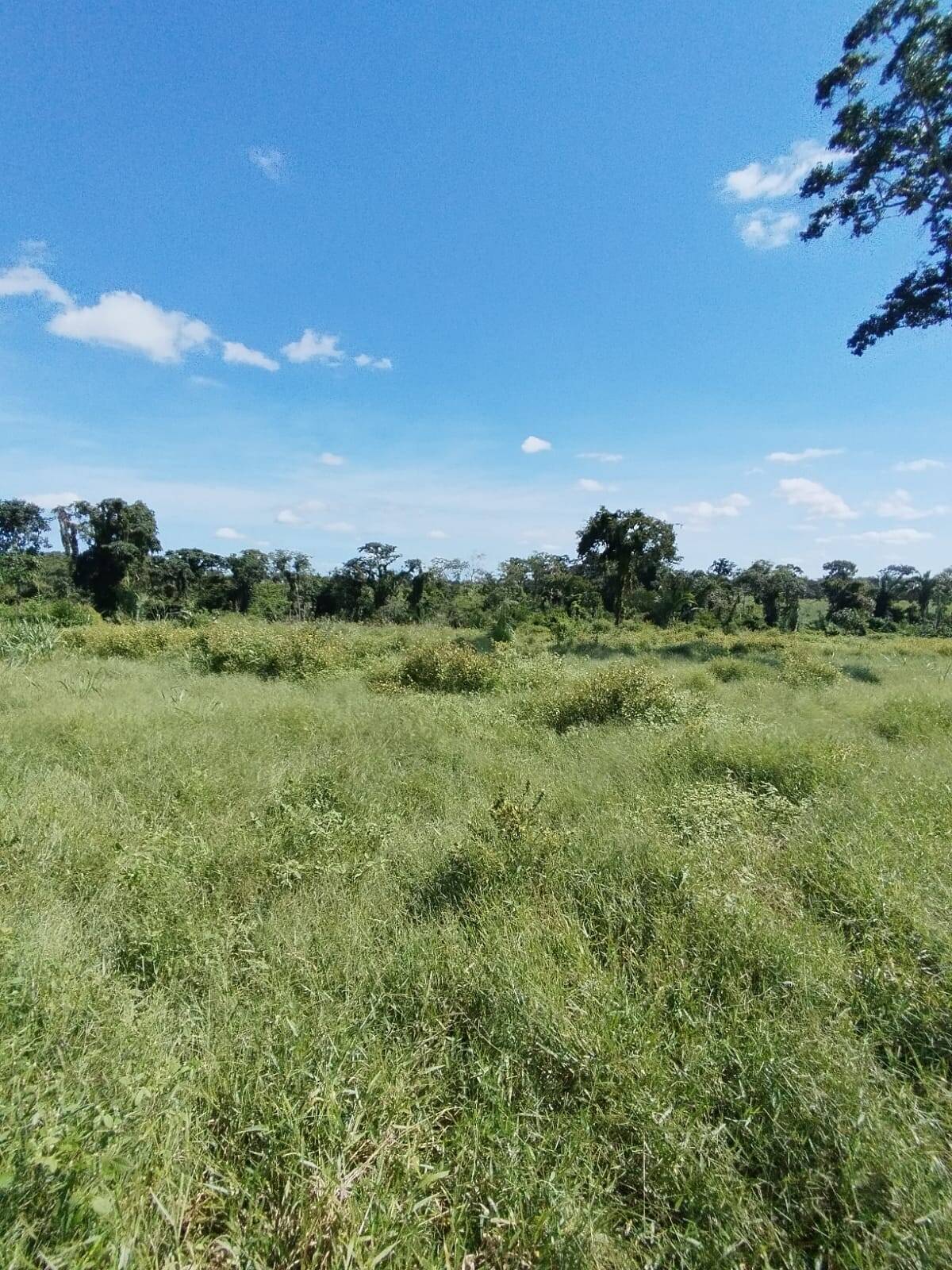 Fazenda à venda com 2 quartos, 12m² - Foto 26