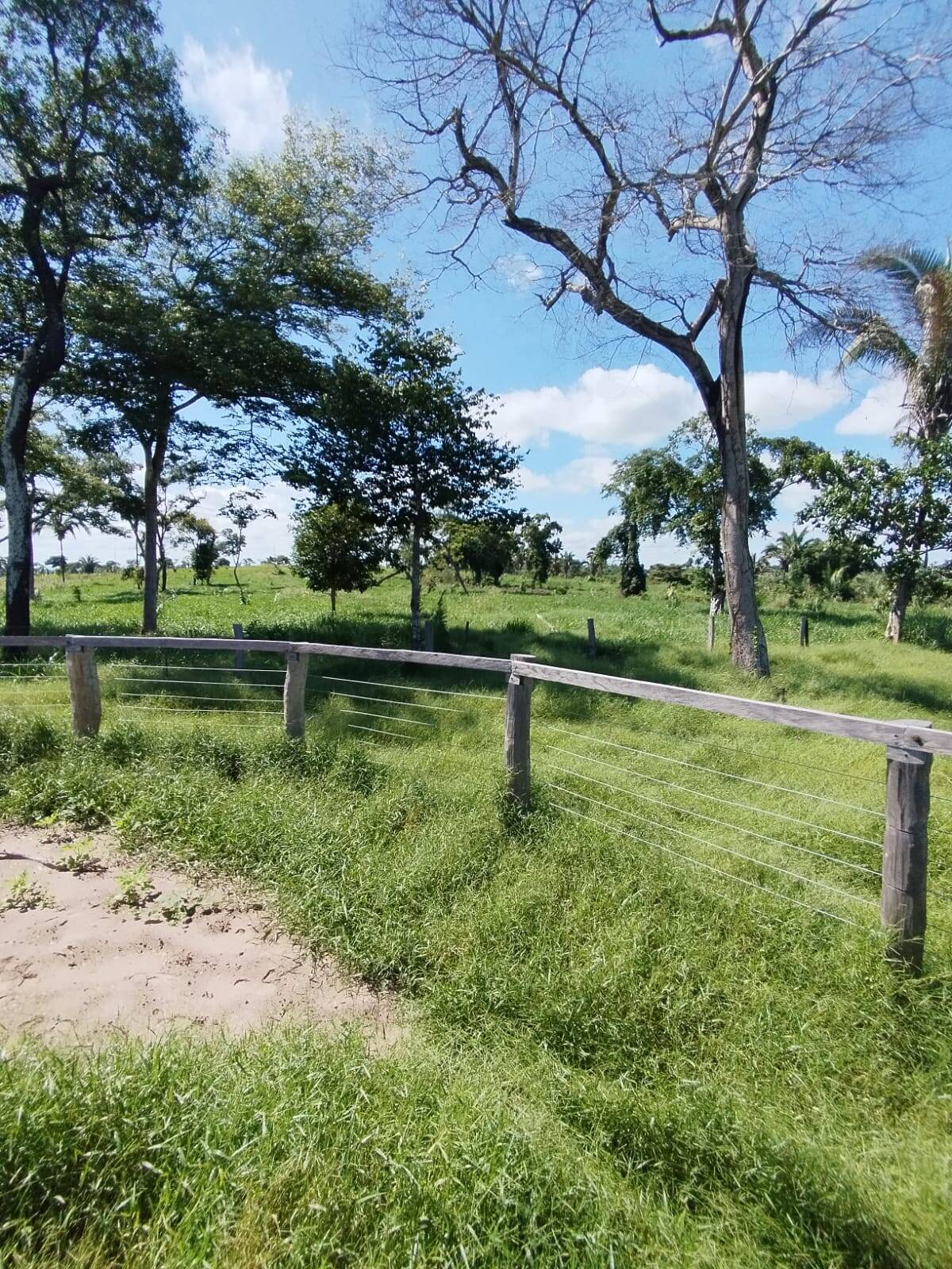 Fazenda à venda com 2 quartos, 12m² - Foto 28