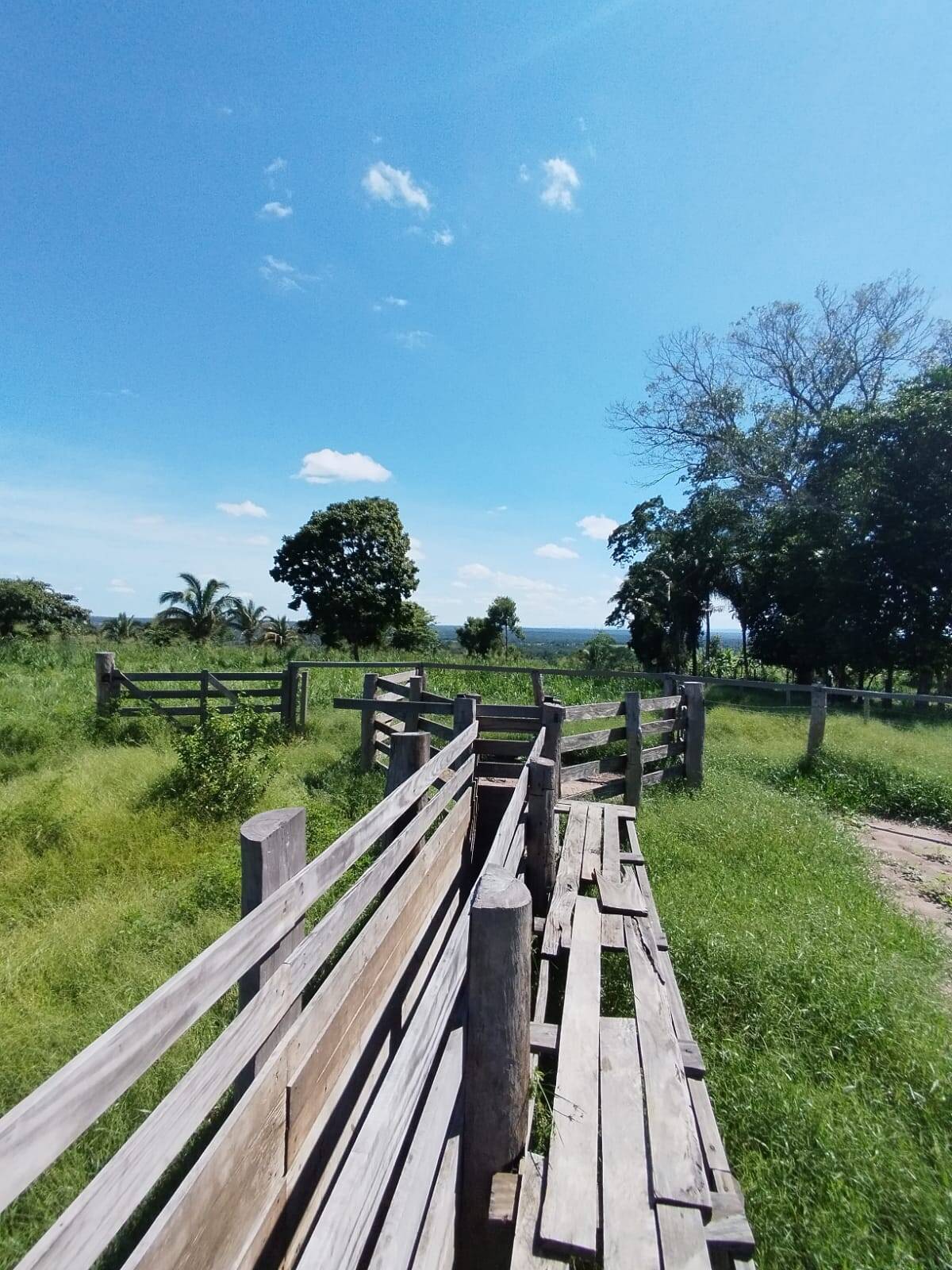 Fazenda à venda com 2 quartos, 12m² - Foto 27