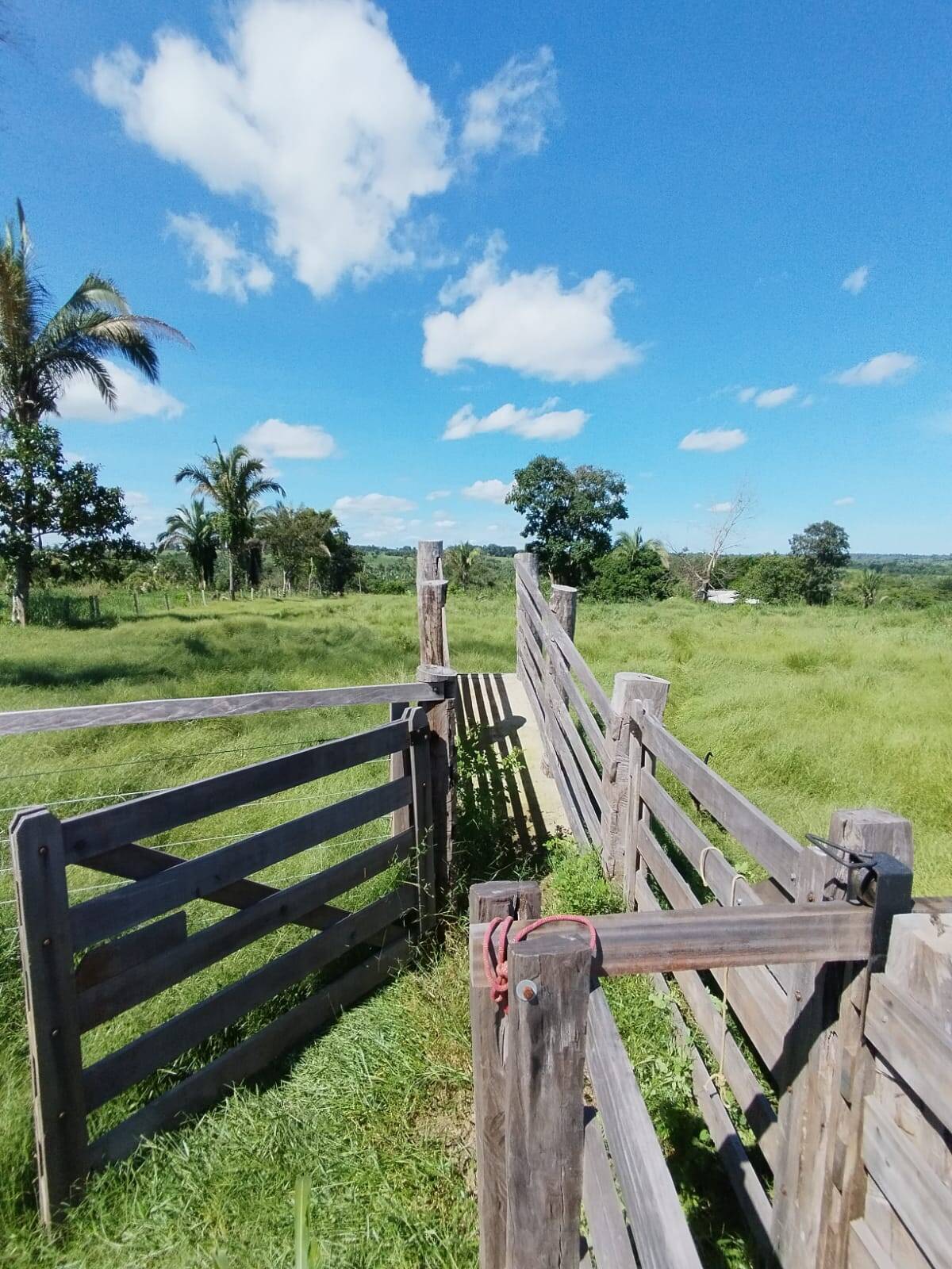 Fazenda à venda com 2 quartos, 12m² - Foto 29