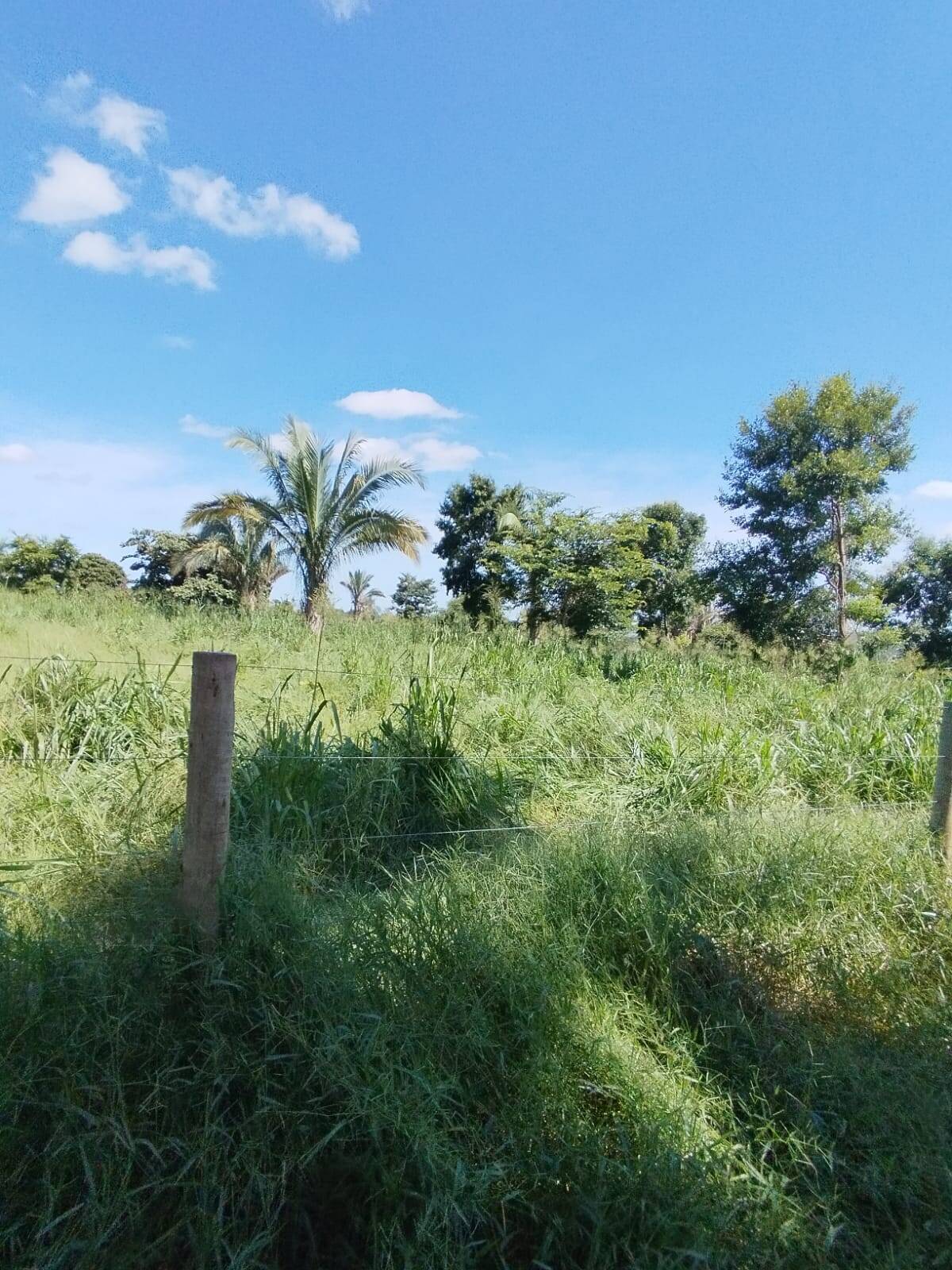 Fazenda à venda com 2 quartos, 12m² - Foto 30