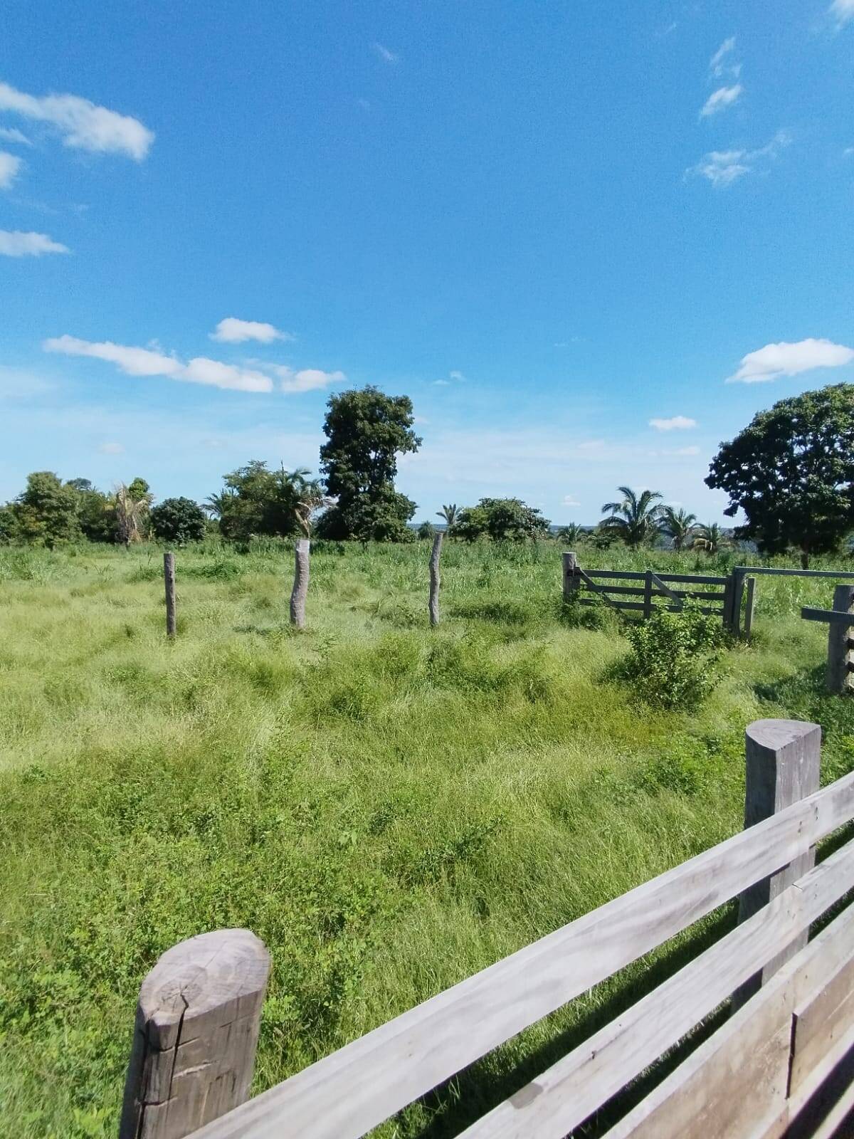 Fazenda à venda com 2 quartos, 12m² - Foto 31