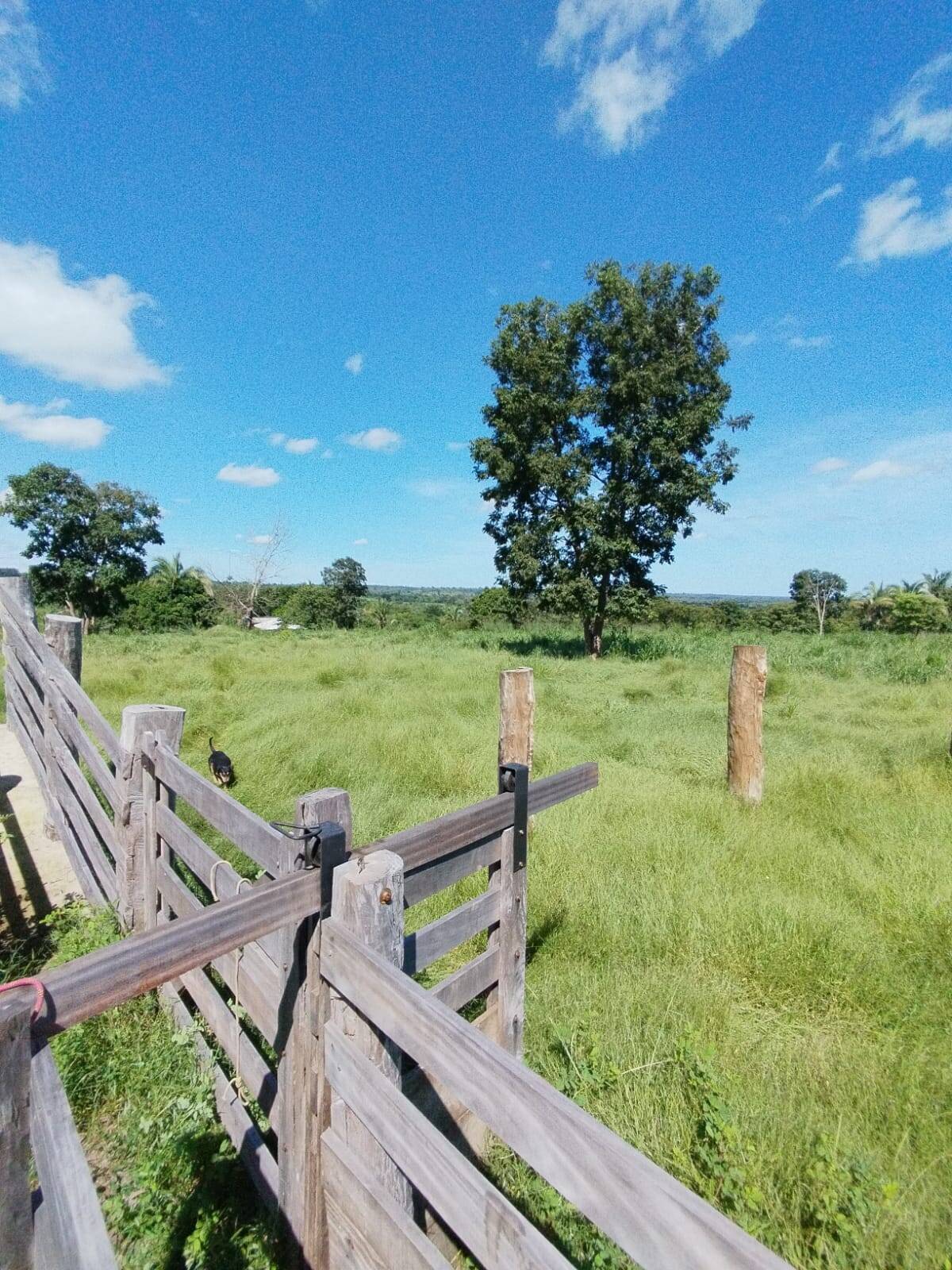 Fazenda à venda com 2 quartos, 12m² - Foto 34