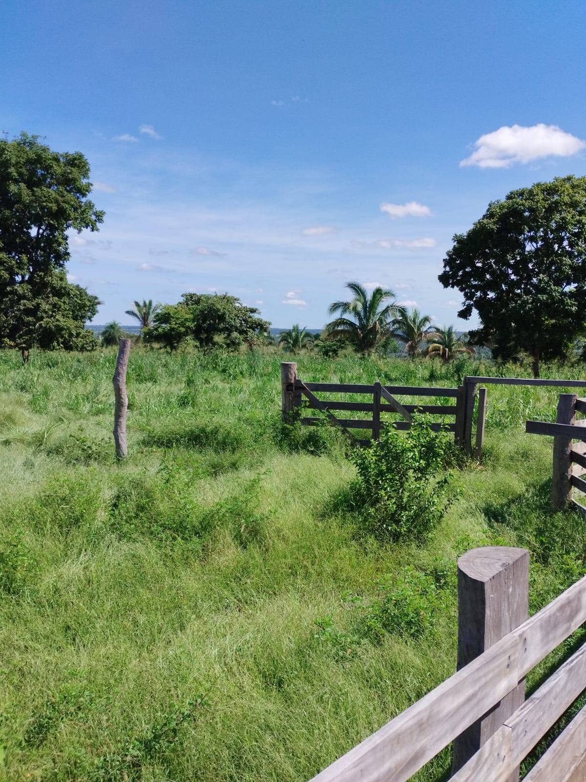 Fazenda à venda com 2 quartos, 12m² - Foto 32