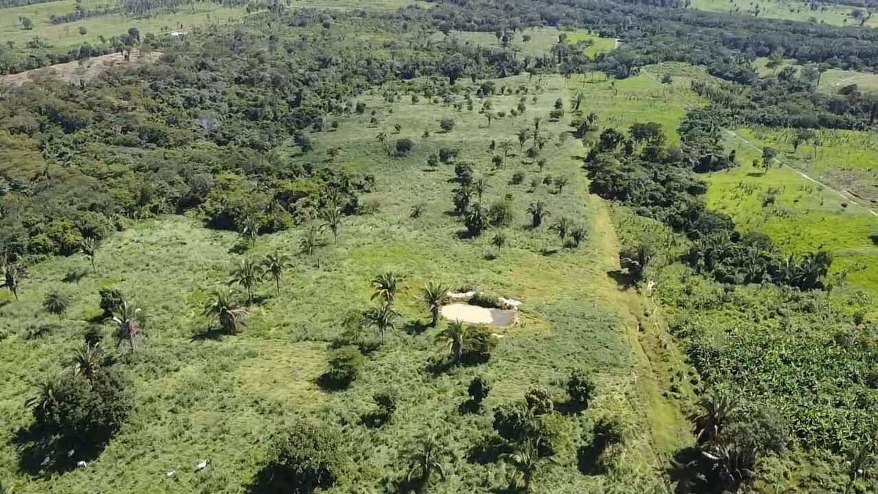 Fazenda à venda com 2 quartos, 12m² - Foto 37