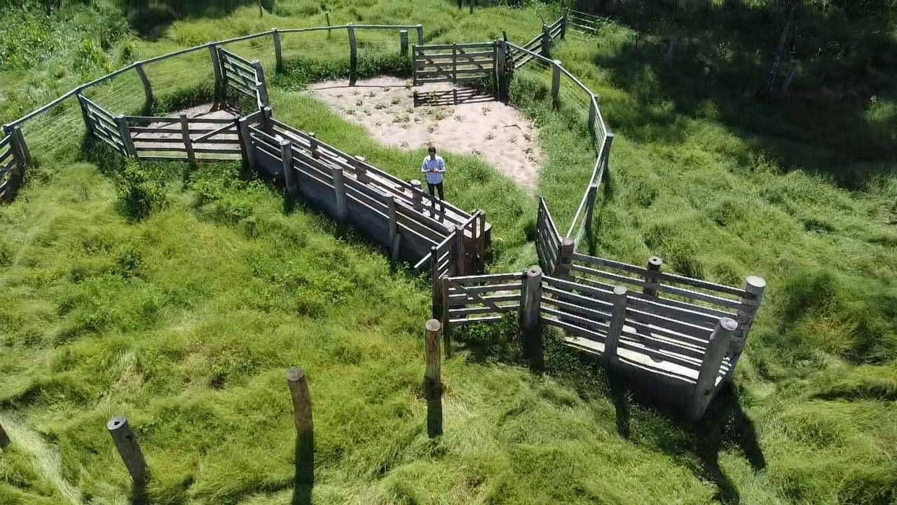 Fazenda à venda com 2 quartos, 12m² - Foto 35