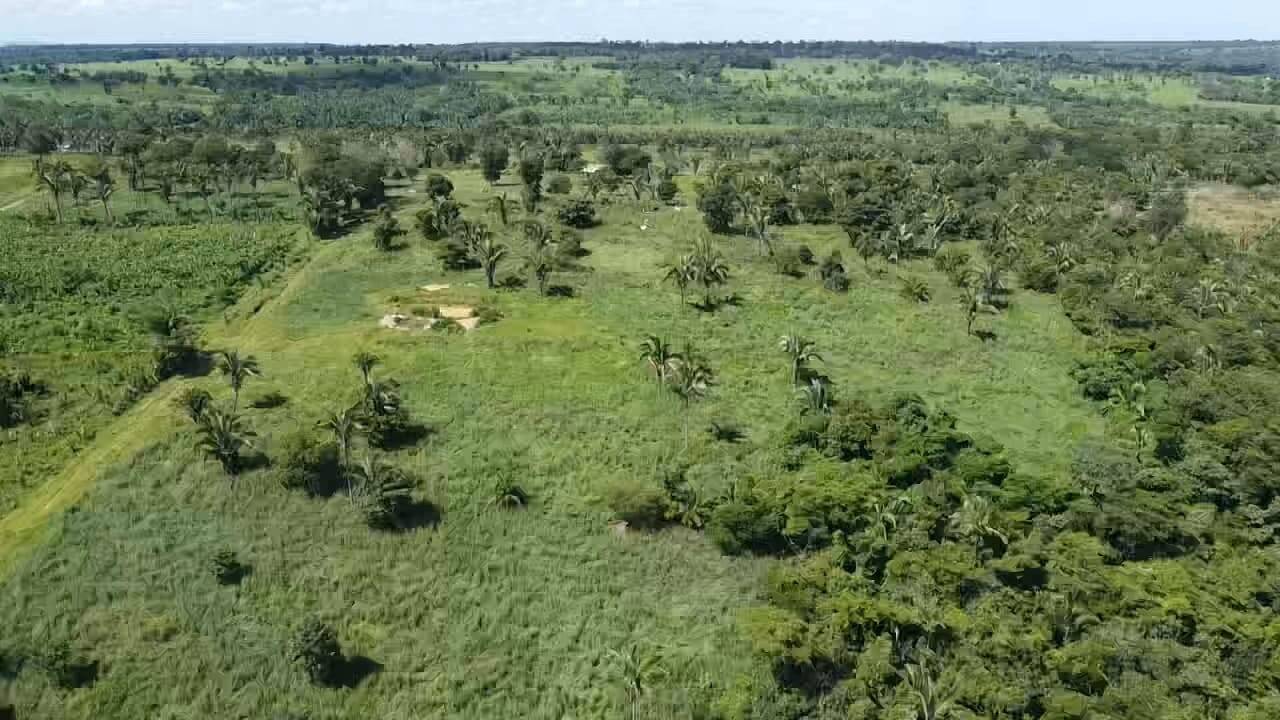 Fazenda à venda com 2 quartos, 12m² - Foto 39