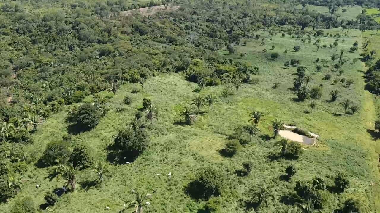 Fazenda à venda com 2 quartos, 12m² - Foto 40