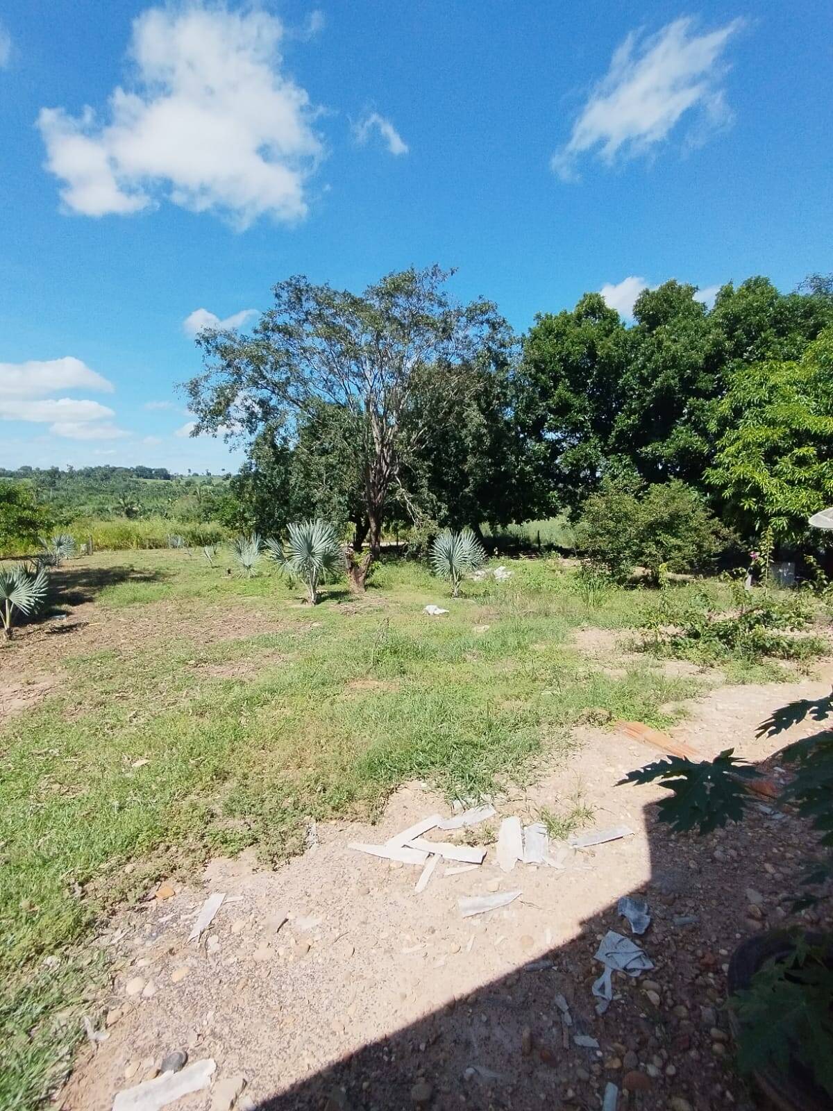 Fazenda à venda com 2 quartos, 12m² - Foto 43