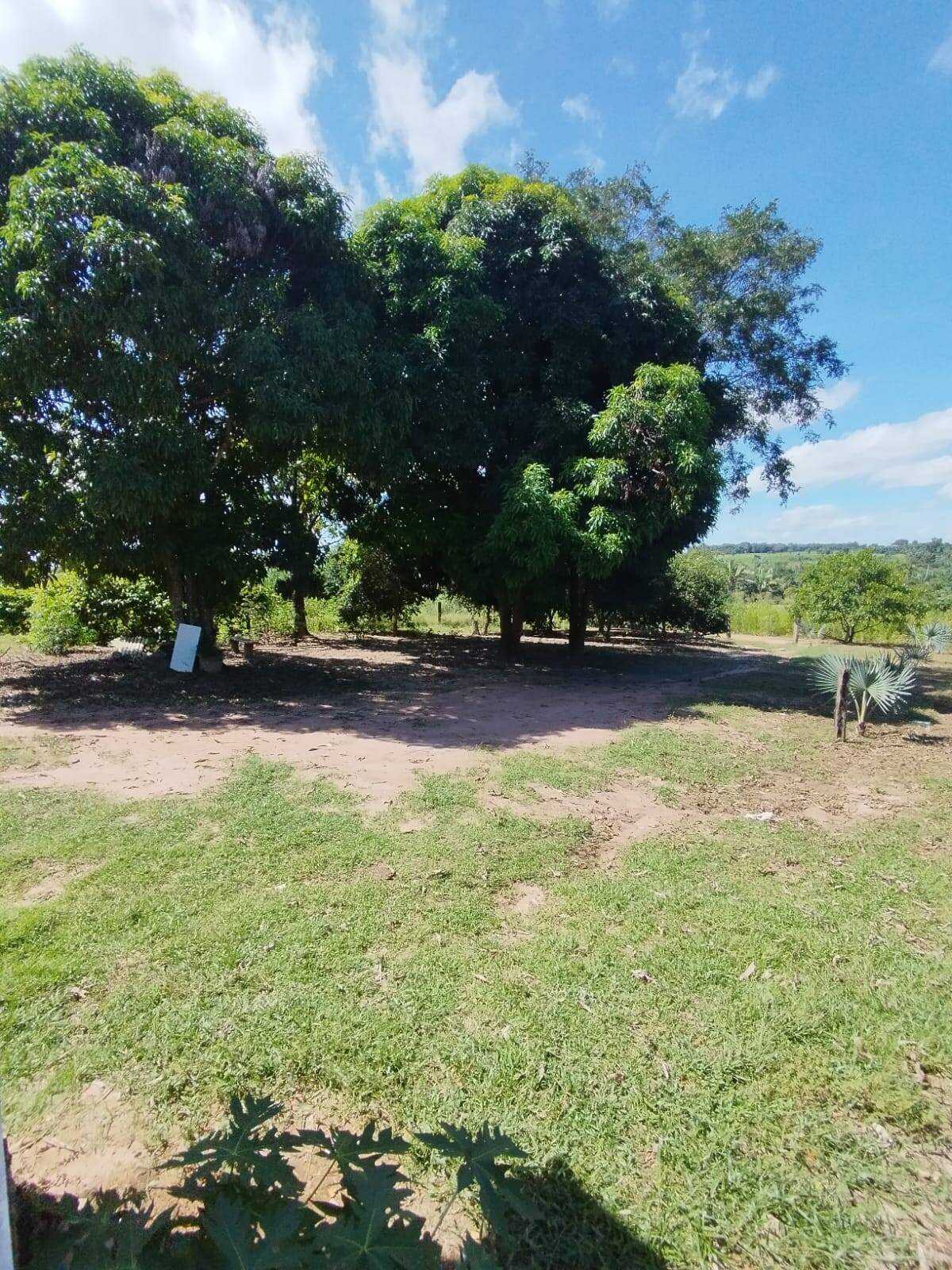 Fazenda à venda com 2 quartos, 12m² - Foto 46