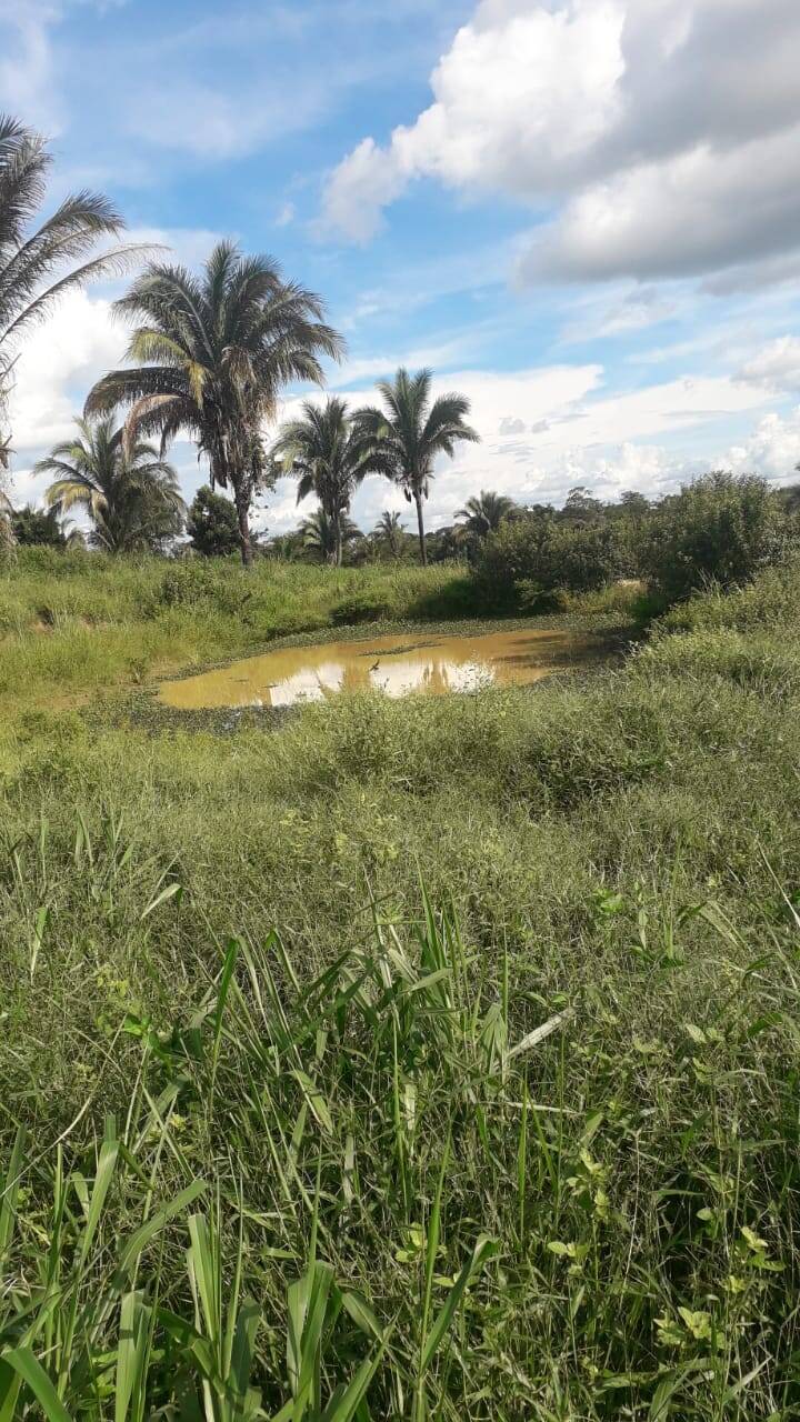 Fazenda à venda com 2 quartos, 12m² - Foto 47